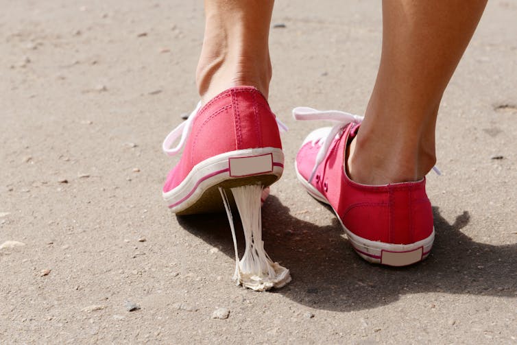 Curious Kids: does chewing gum stay inside you for years?