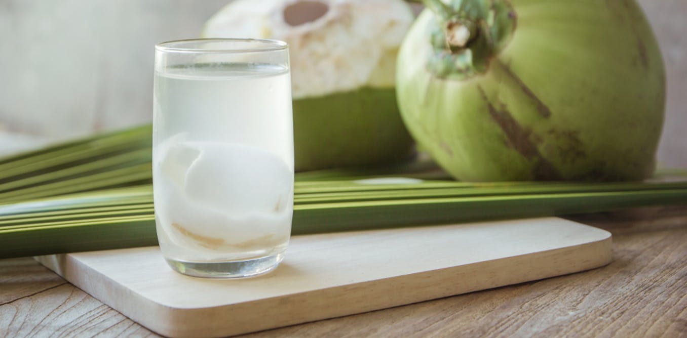 Is coconut water good for you? We asked five experts - The Conversation AU