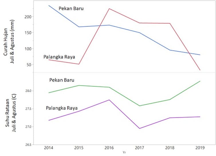Tidak Cukup Restorasi Gambut Untuk Mencegah Kebakaran Hutan Tidak Cukup Restorasi Gambut Untuk Mencegah Kebakaran Hutan