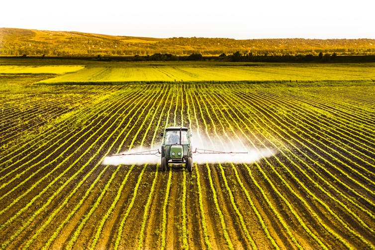 Pesticides are not a sustainable solution