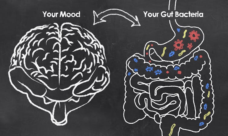 Gut microbes can get you drunk and damage your liver