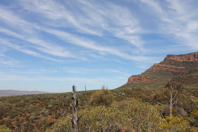 Histories written in the land: a journey through Adnyamathanha Yarta