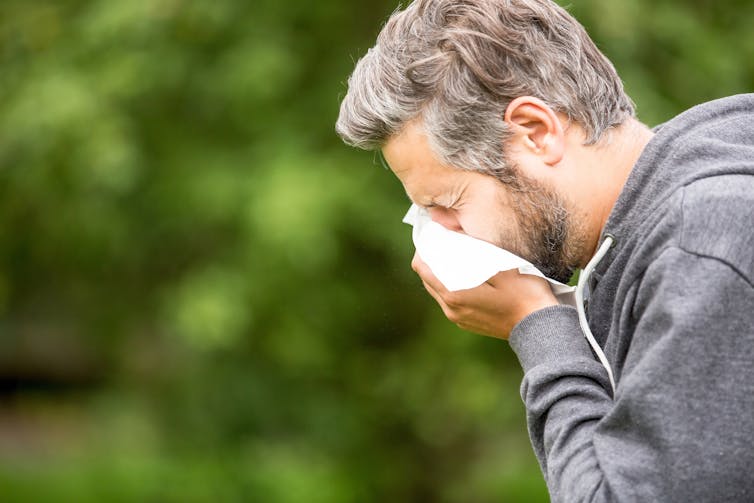 How to manage grass pollen exposure this hay fever season: an expert guide