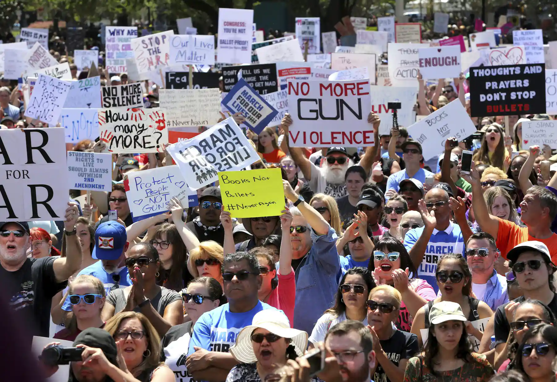 Recent Revolutions Is the United States on the brink of a revolution?