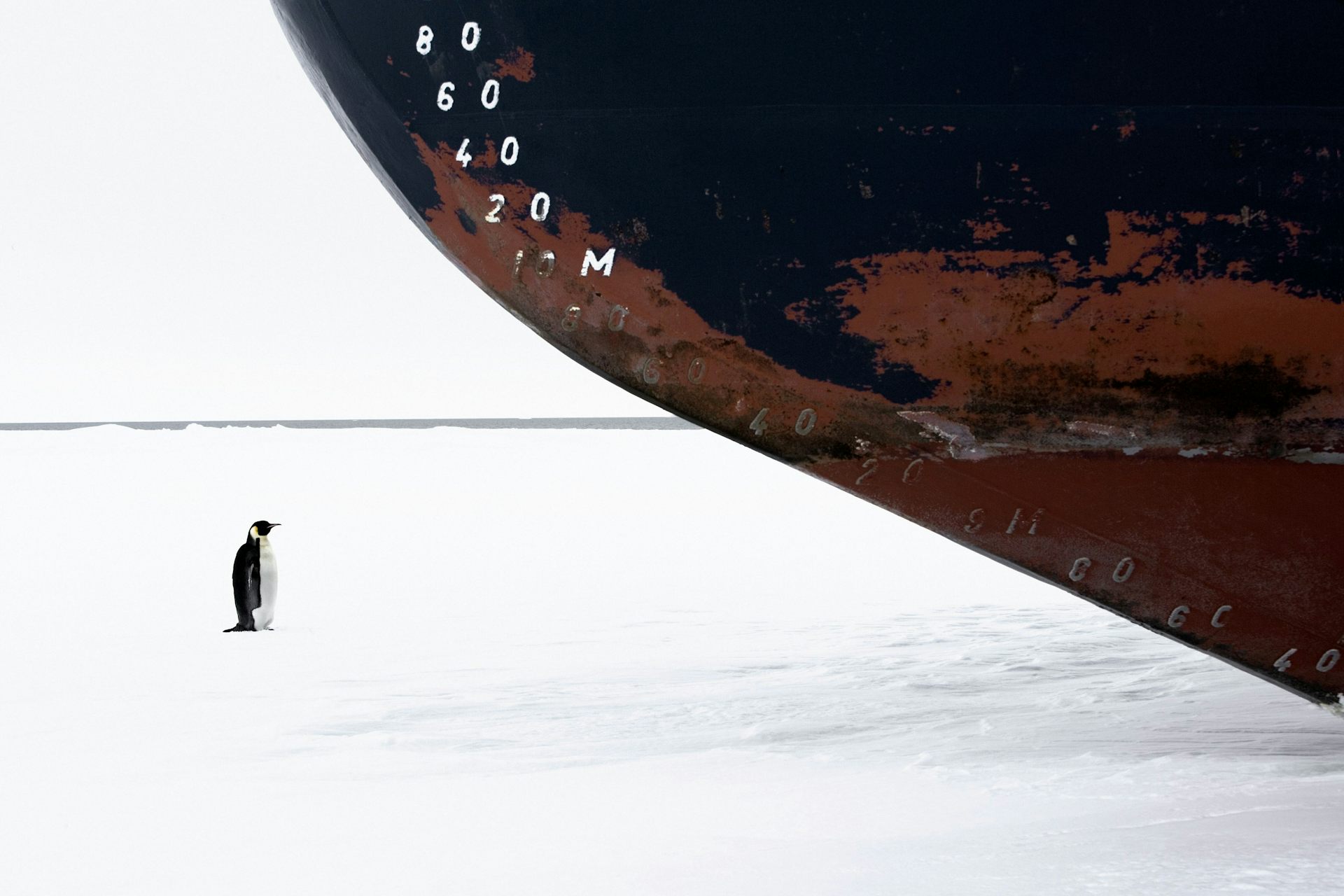 Another Grim Climate Report On Oceans What Will It Take To Address 