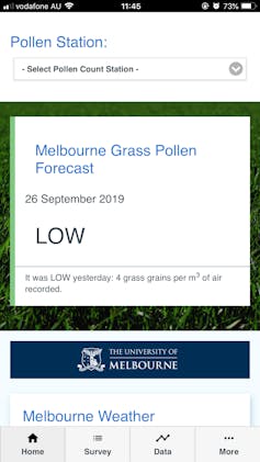 How to manage grass pollen exposure this hay fever season: an expert guide