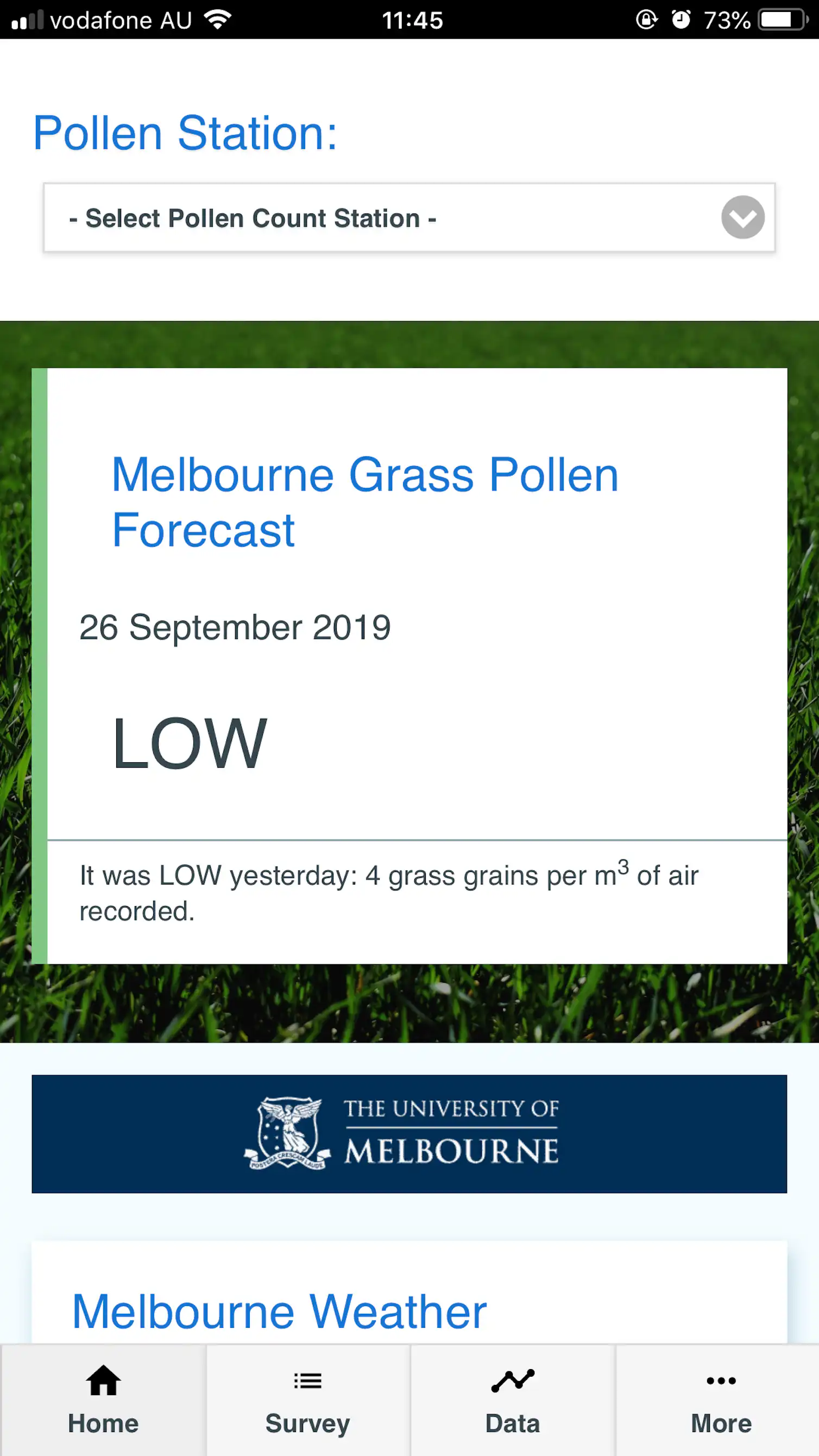 How to manage grass pollen exposure this hay fever season: an expert guide