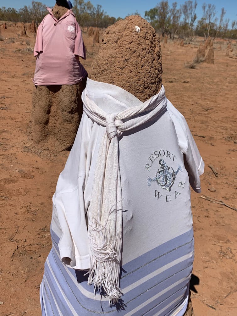 What the termite mound 'snowmen' of the NT can tell us about human nature