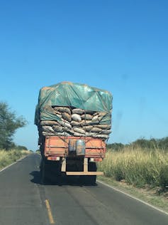 South America's second-largest forest is also burning – and 'environmentally friendly' charcoal is subsidizing its destruction