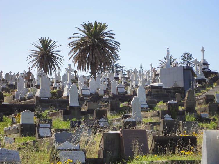 Buried beneath the trees: a plan to solve our shortage of cemetery space