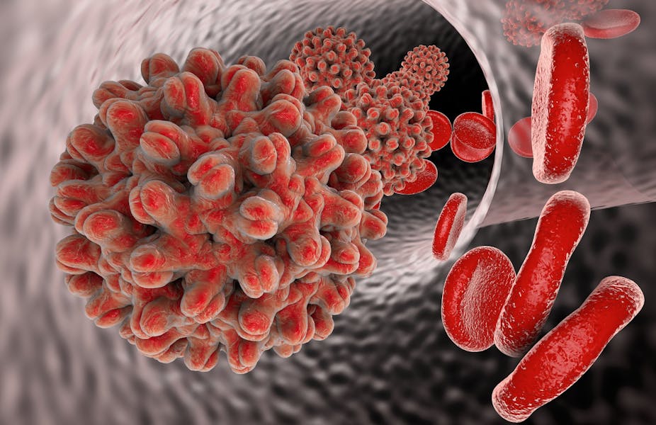 Hepatitis B: better understanding this deadly virus