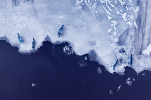 If warming exceeds 2°C, Antarctica's melting ice sheets could raise seas 20 metres in coming centuries