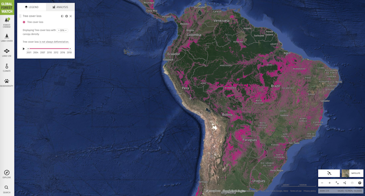 South America's second-largest forest is also burning – and 'environmentally friendly' charcoal is subsidizing its destruction