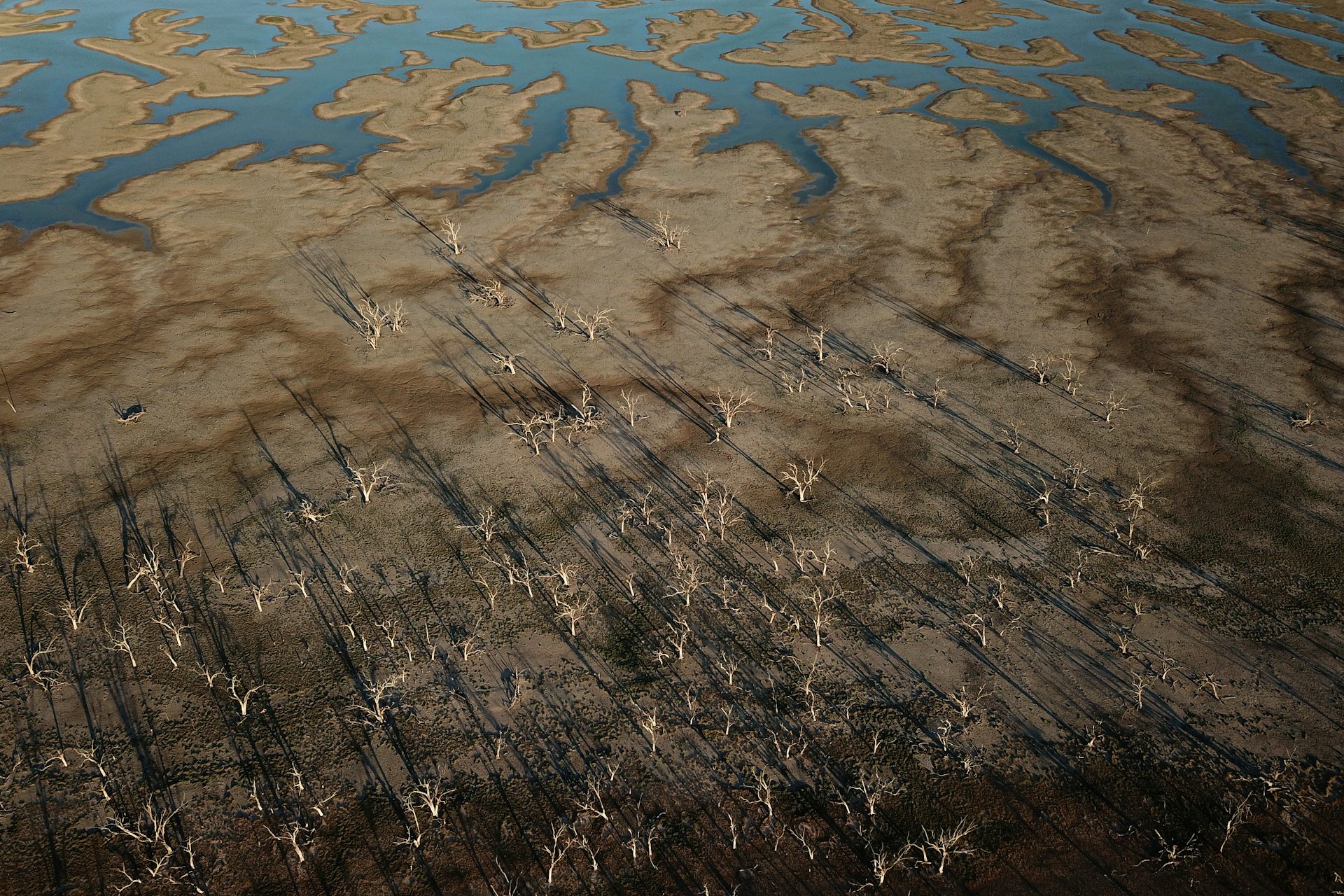 Murray Darling Basin News Research And Analysis The - 