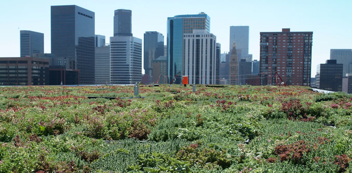 Urban Rigor Bulidng Green roofs improve the urban environment – so why don't all buildings ...