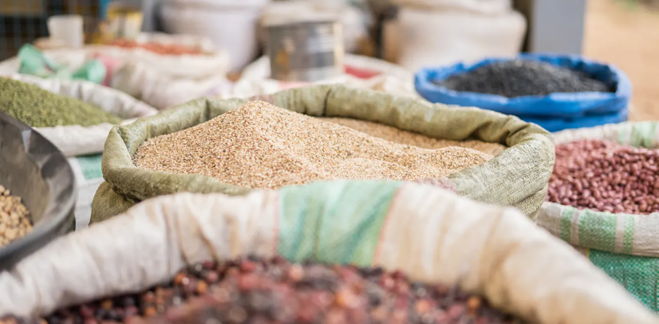 Pasha 39: How local crops and grains can help solve nutrition issues