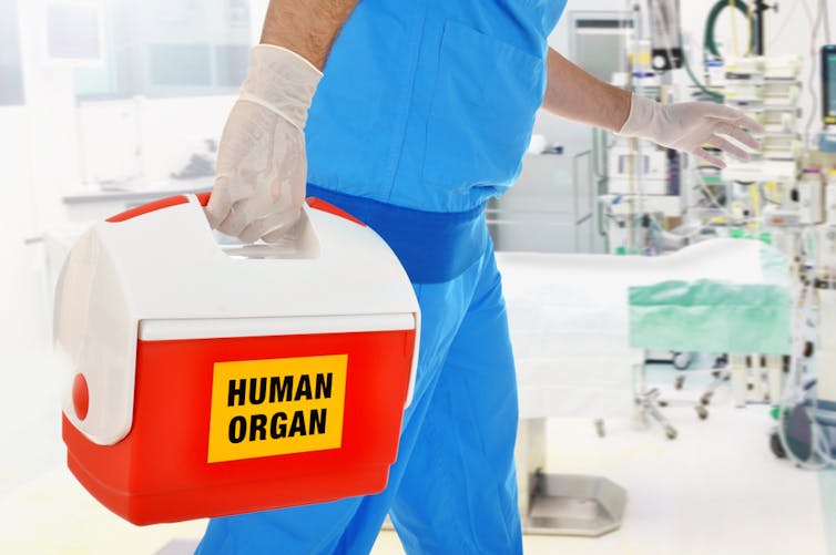 Organs 'too risky' to donate may be safer than we think. We crunched the numbers and here's what we found