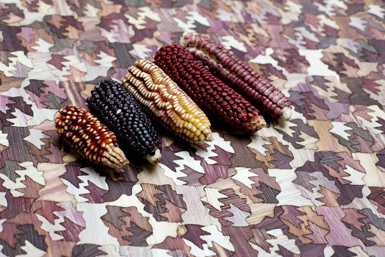 Dried corn on a patterned table