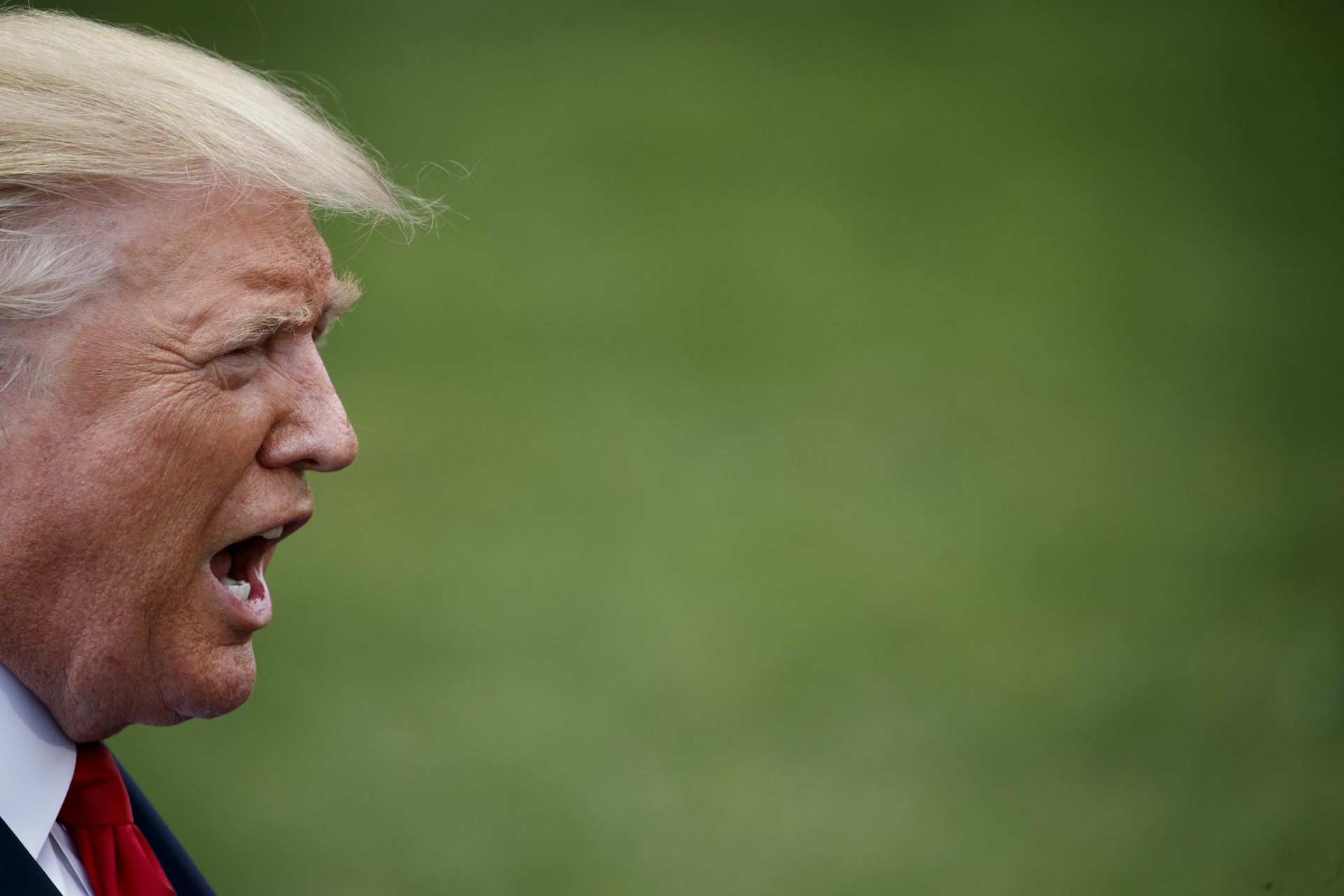 Shame Plays An Important Role In Political Life Or At - 