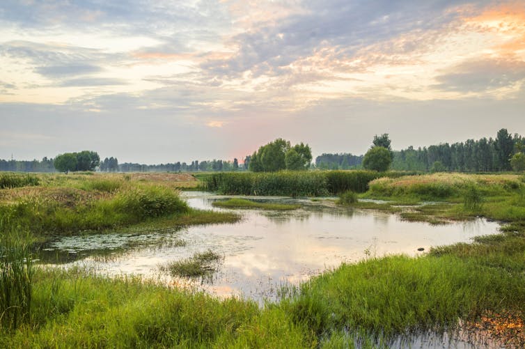 Nature matters to Canadians, so conservation should be an election issue