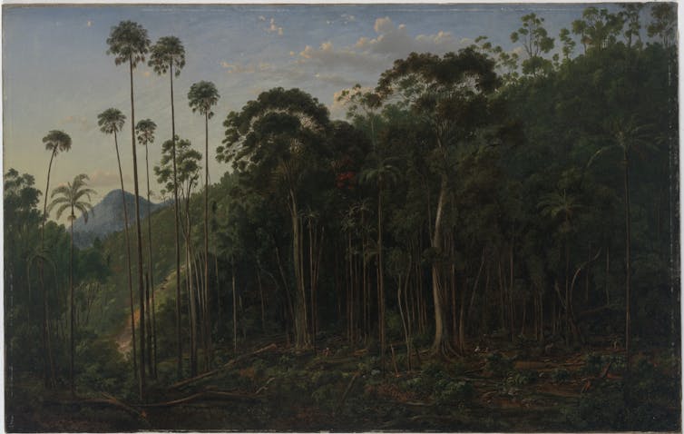 Cabbage Trees near the Shoalhaven River, 1860 painting by Eugene von Guerard