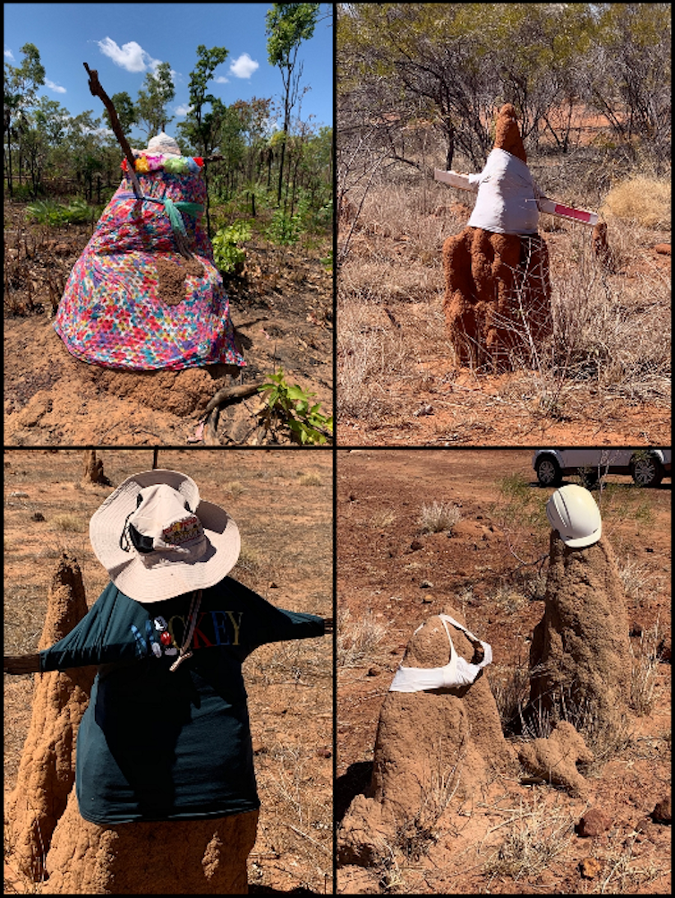 What the termite mound 'snowmen' of the NT can tell us about human nature