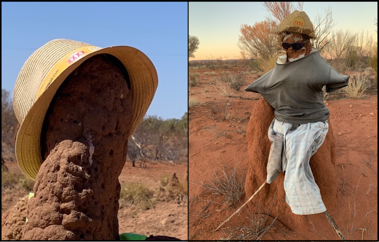 What the termite mound 'snowmen' of the NT can tell us about human nature