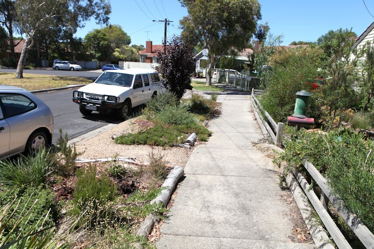 Our land abounds in nature strips – surely we can do more than mow a third of urban green space