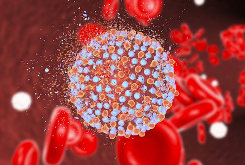 In Contrast To Australia S Success With Hepatitis C Our Response To Hepatitis B Is Lagging