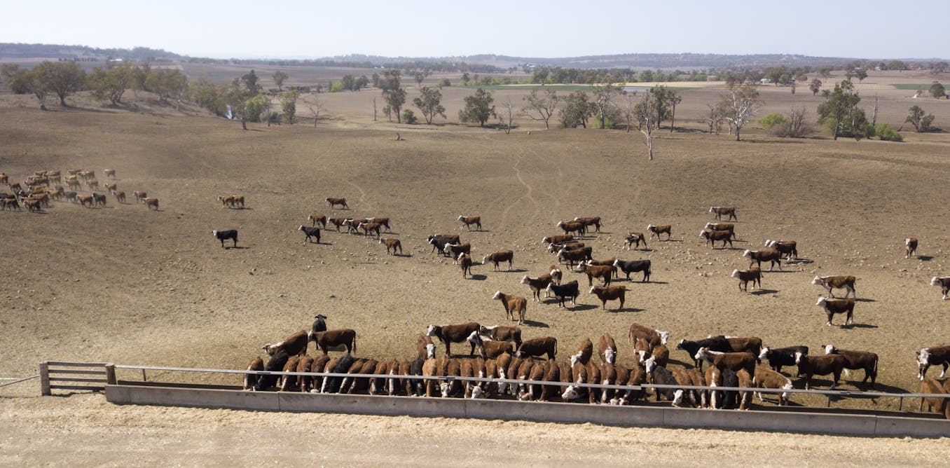 We can’t drought-proof Australia, and trying is a fool's errand - The Conversation AU
