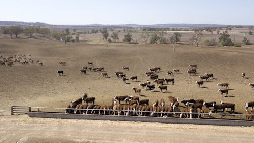 We can’t drought-proof Australia, and trying is a fool's errand