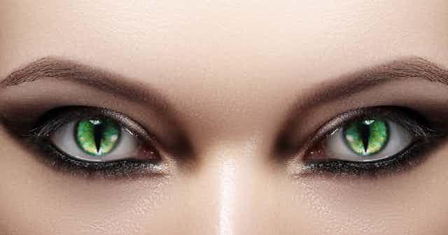 Green Lizard Eye - 2 lenses