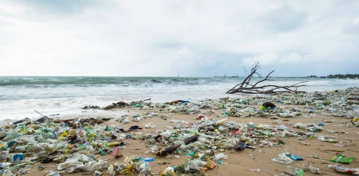 Indonesia Perlu Lebih Banyak Penelitian Dampak Sampah Plastik Di Laut