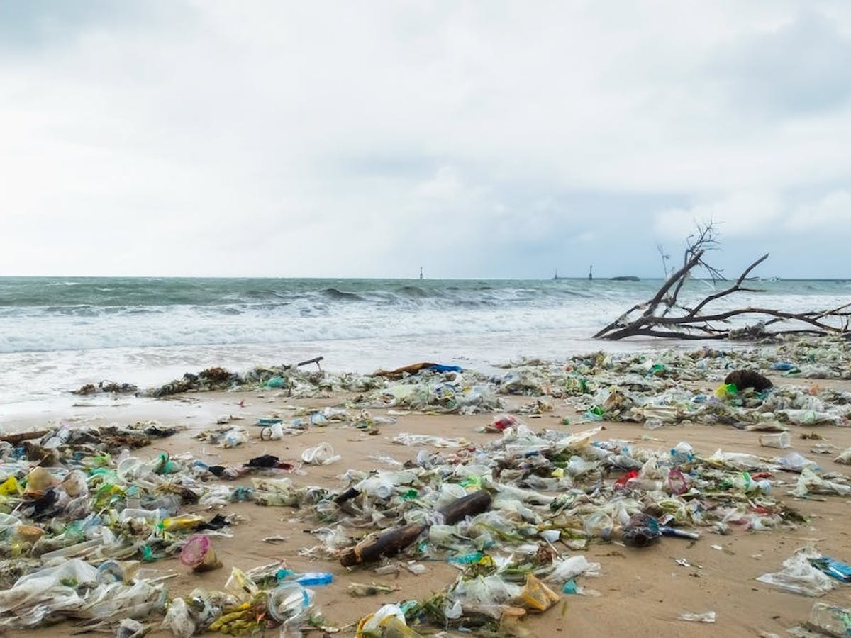 Indonesia Perlu Lebih Banyak Penelitian Dampak Sampah Plastik Di Laut