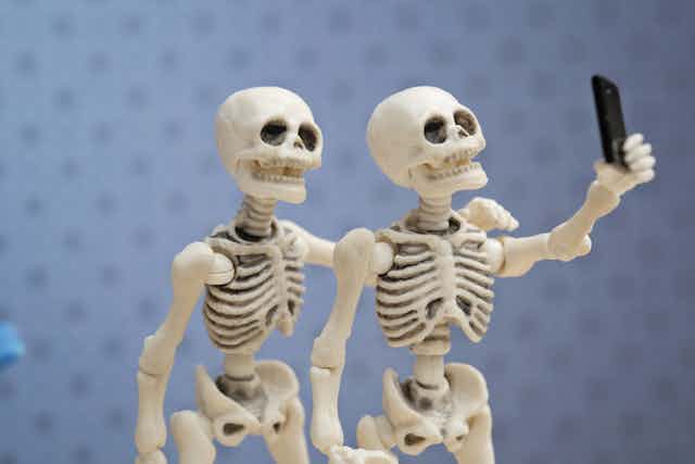 How Many Bones Are in the Human Body, And Other Fascinating Facts