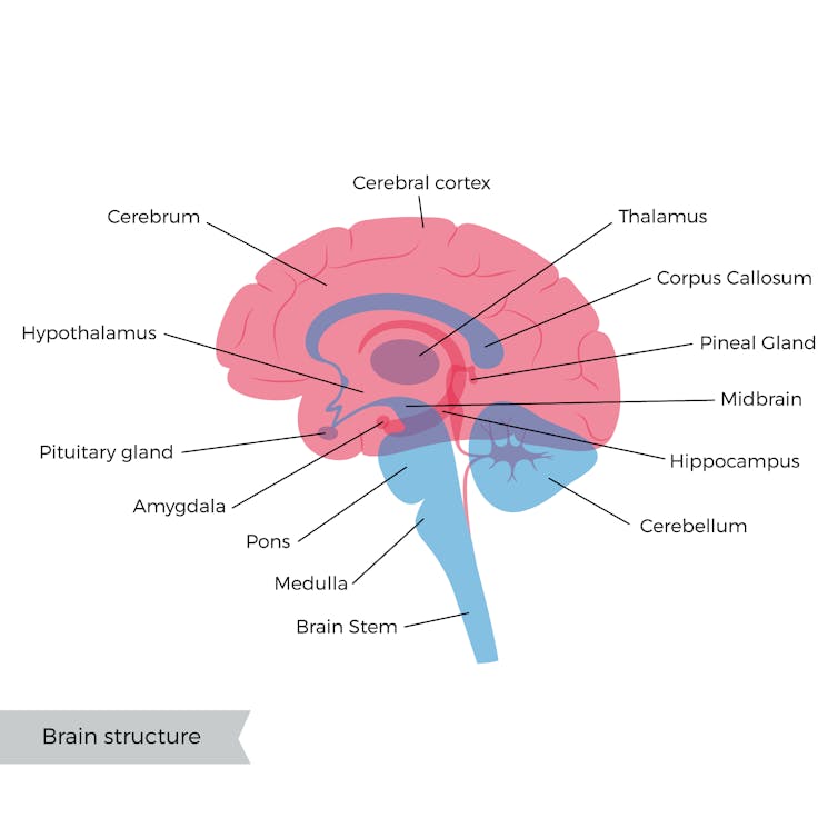 Your brain approaches tricky tasks in a surprisingly simple way