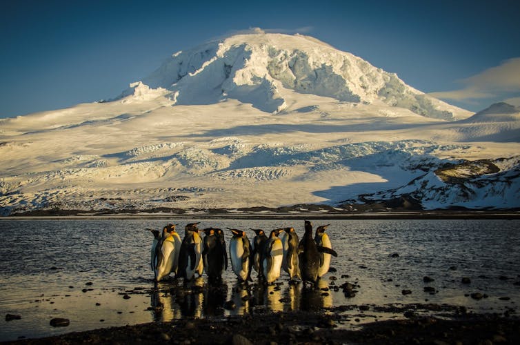 Australia's only active volcanoes and a very expensive fish: the secrets of the Kerguelen Plateau