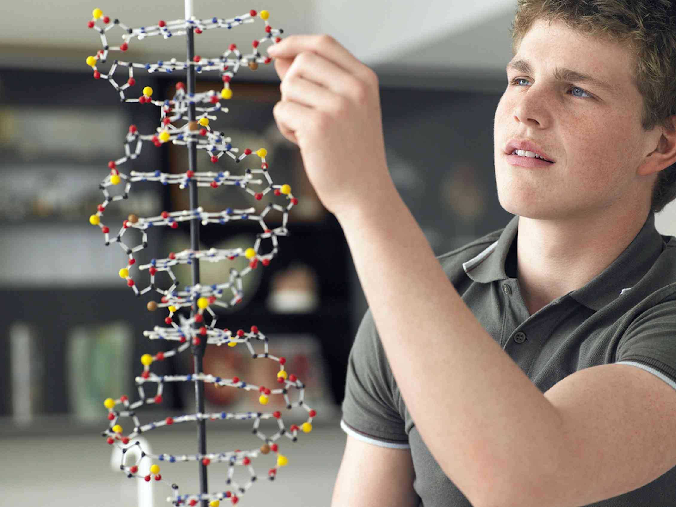 Математическая генетика. Моделирование в науке. Модель в науке. Модель ДНК. Моделирование в науке иллюстрация.
