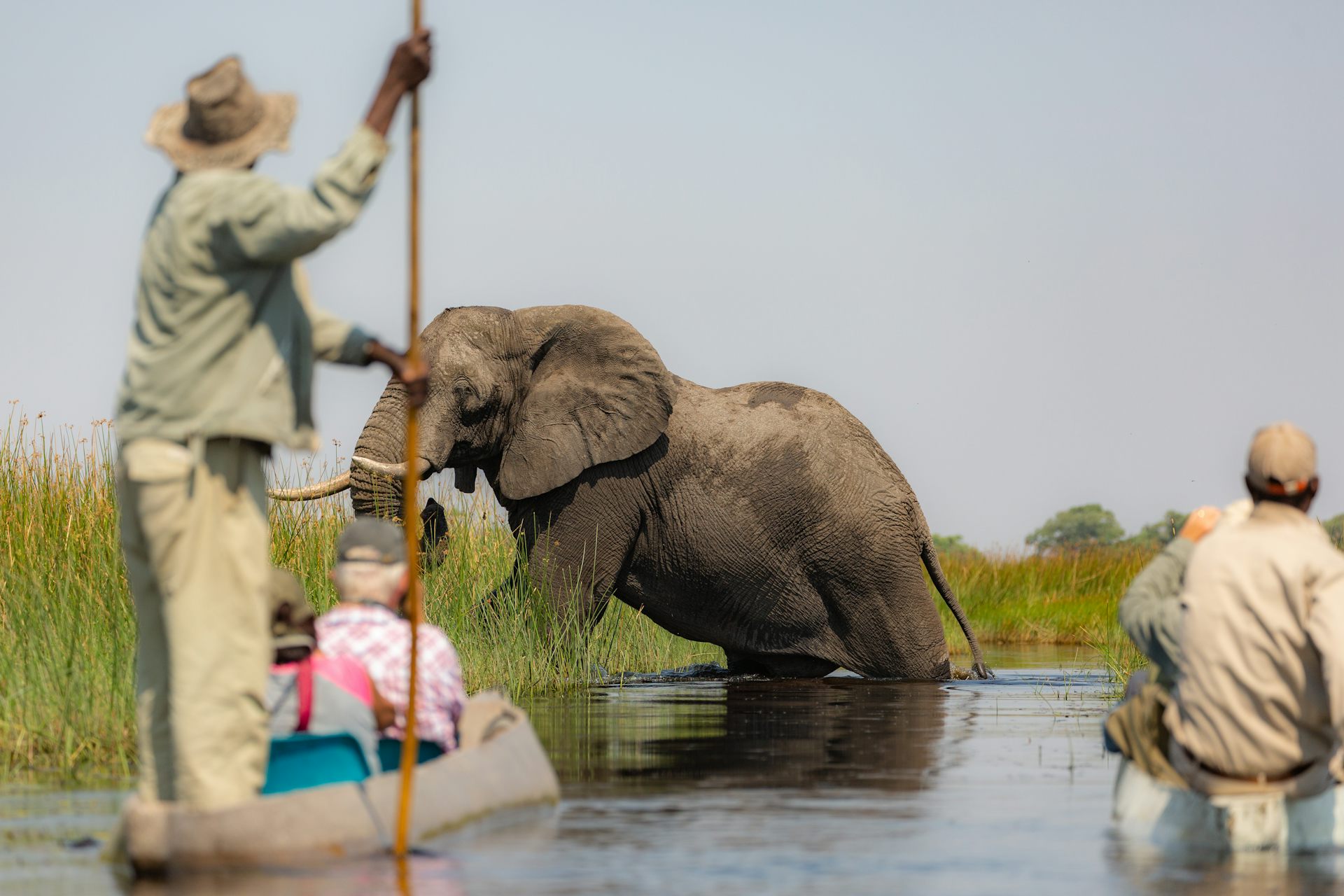 Botswana’s Okavango Delta Is Created By A Delicate Balance, But For How ...