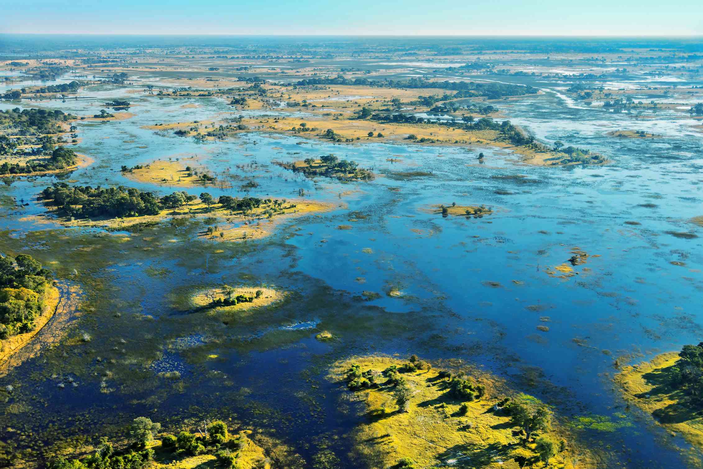 A bird's eye view of Botswana's Okavango Delta