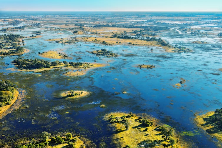 okavango delta