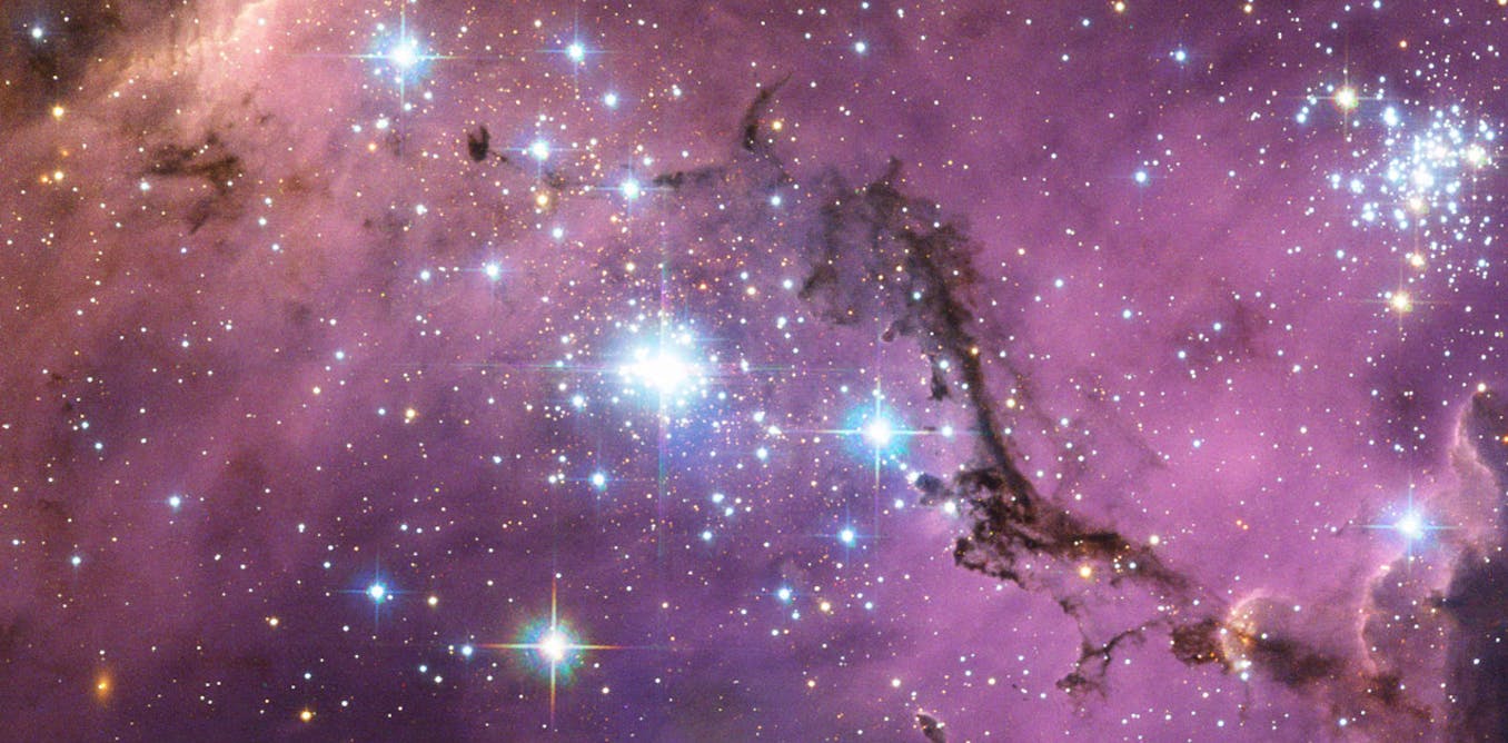 La evolución nos dice que es probable que seamos la única vida inteligente del universo