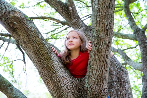 Should I let my kid climb trees? We asked five experts