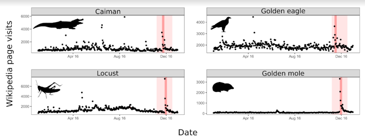 Well-known species recorded peaks on Wikipedia pages after Planet Earth II, but this effect was more noticeable for less-known species. Red bar: broadcast of the episode with featured species. Red band: broadcast of the entire series