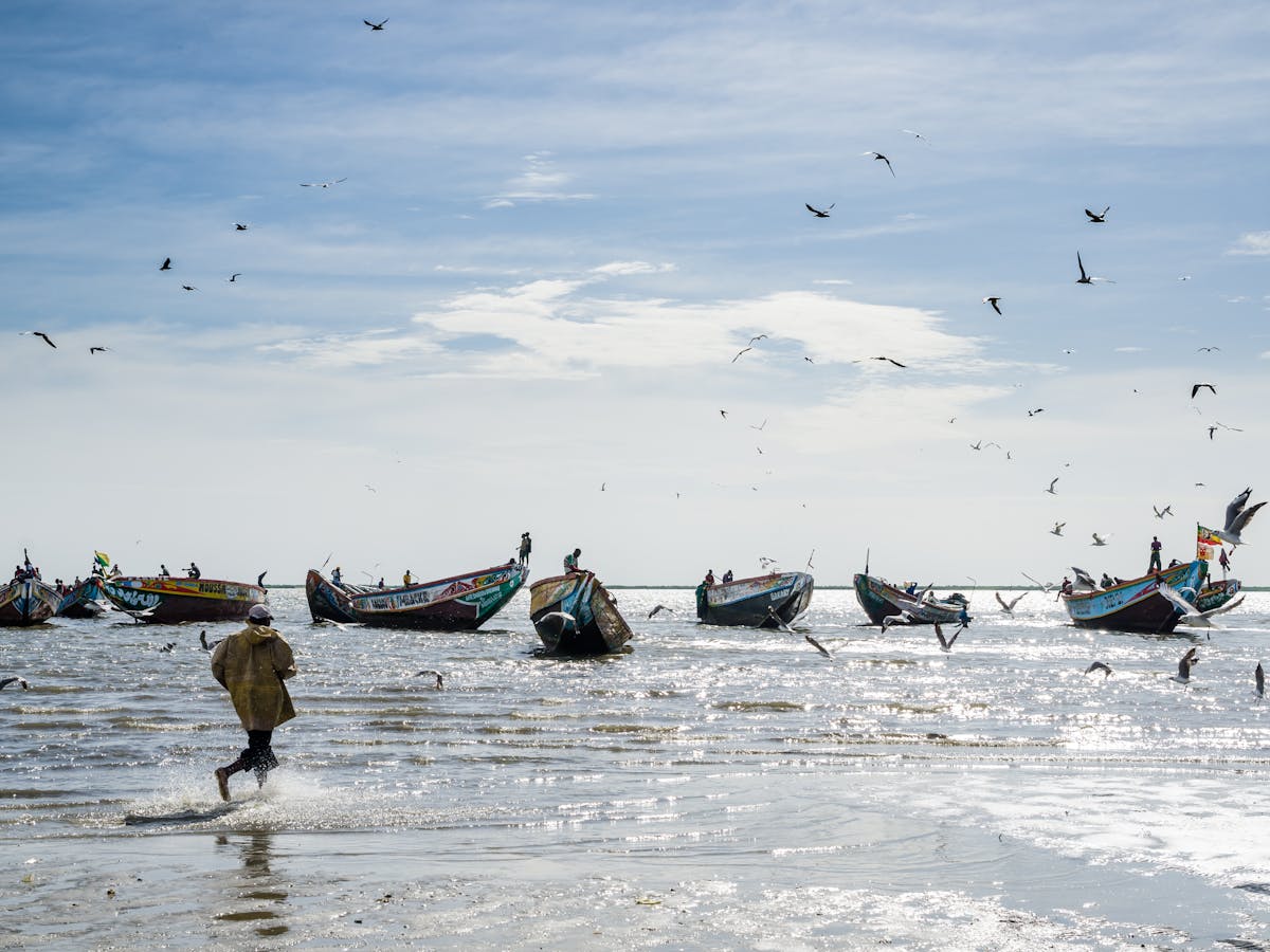 Eu Targets Fragile West African Fish Stocks Despite Protection Laws