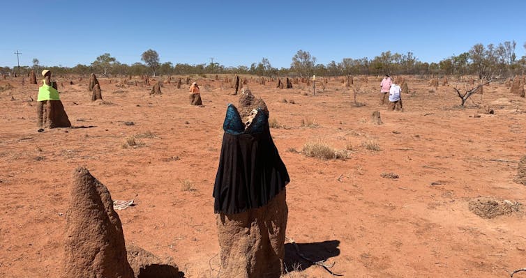 What the termite mound 'snowmen' of the NT can tell us about human nature