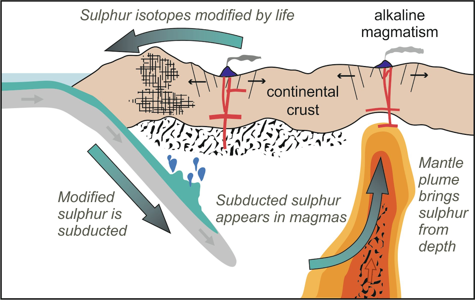 How volcanoes recycle the Earth’s crust to uncover rare metals that are 