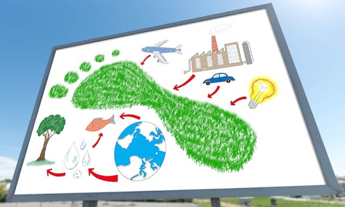What is ‘ecological economics’ and why do we need to talk about it?