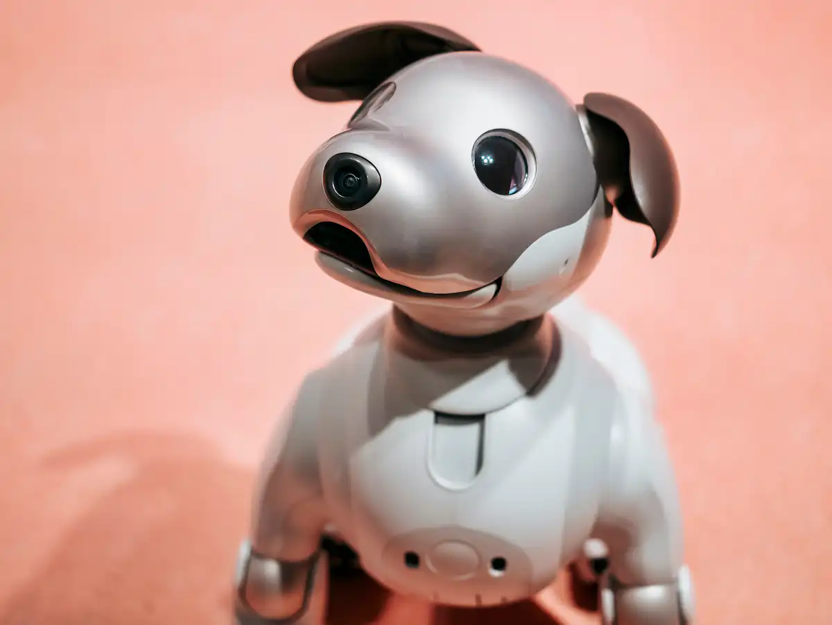Ex Bots Robots with benefits: how sexbots are marketed as companions