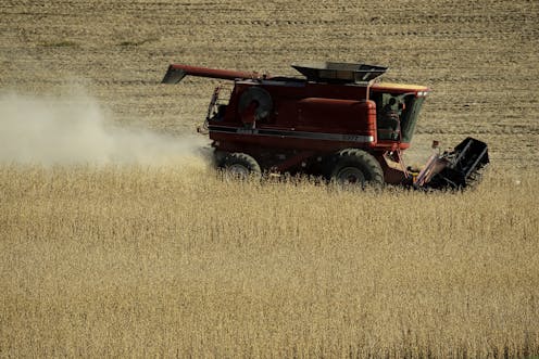 3 reasons Midwest farmers hurt by the U.S.-China trade war still support Trump